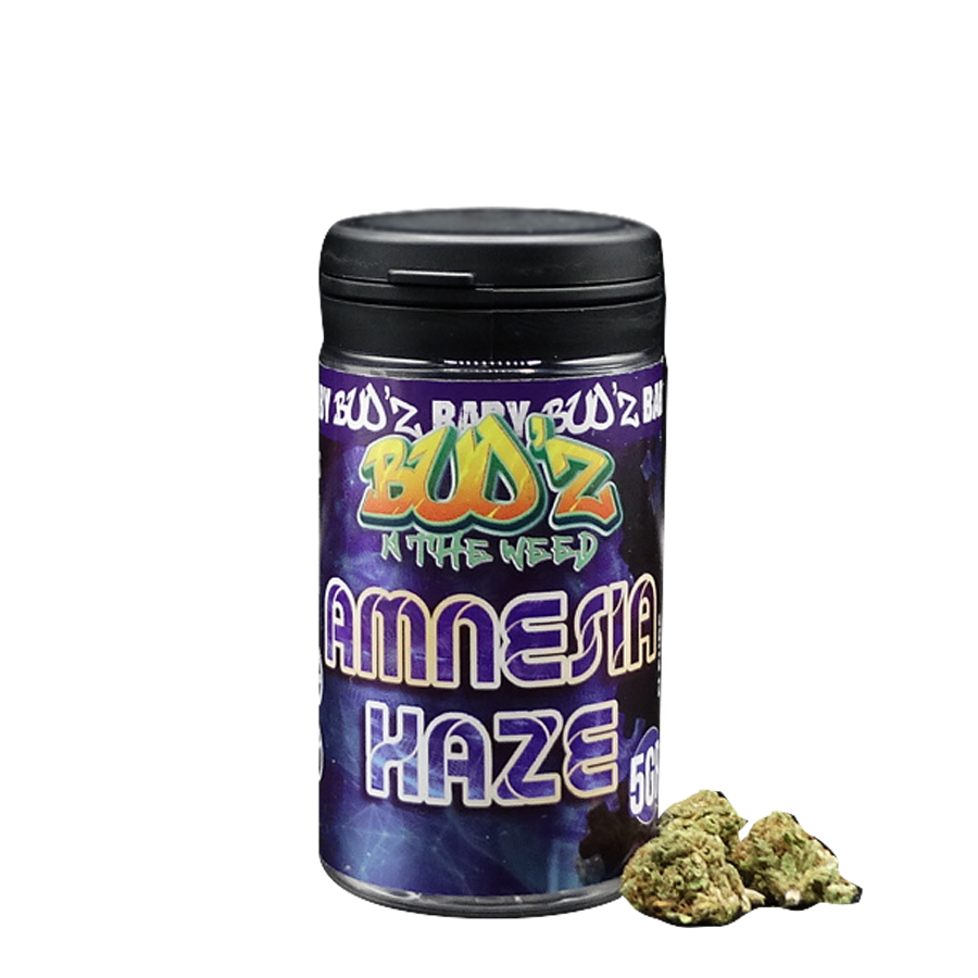 amnesia haze baby bud'z