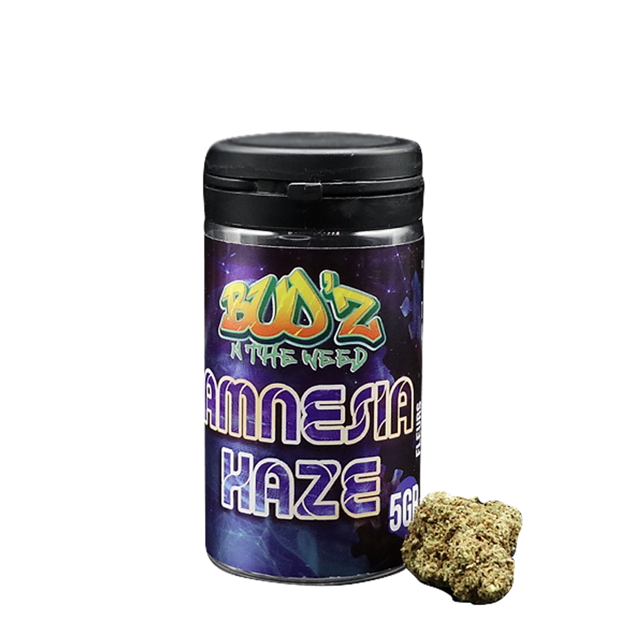 amnesia haze