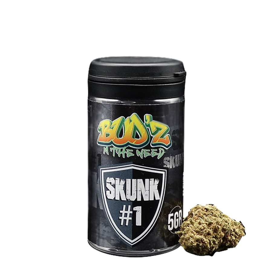 skunk #1